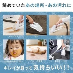 アイリスオーヤマ　リンサークリーナーRNS-300の画像