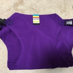 ベビーバスチェア、ボーロ入れ、チェアベルト、転倒防止リュック、まとめ売りの画像