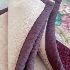 ［本文、プロフ見てください］西川の毛布の画像