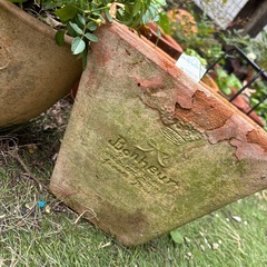 テラコッタ　鉢の画像