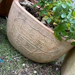 テラコッタ　鉢の画像