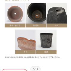 モスポット 400LL11号植木鉢 おしゃれ ラフ 陶器 テラコッタ 素焼き鉢の画像