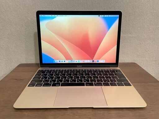 MacBook12　2015　CoreM　8GB　251GB　まずまず美品です！ MacBook122015CoreM8GB251GB美品です！ (KY) 伊予西条のMacの中古