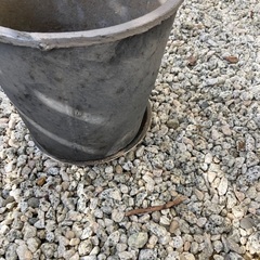 モスポット 400LL11号植木鉢 おしゃれ ラフ 陶器 テラコッタ 素焼き鉢の画像