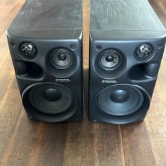 PIONEER  S-P350V-LR
の画像