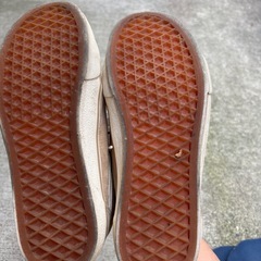 vans スニーカーの画像