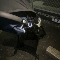 ピジョンB型ベビーカーの画像