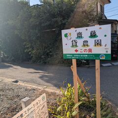 貸し農園利用者募集中です