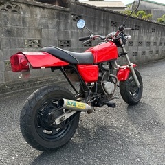 HONDA エイプ50 FX仕様　車体の画像