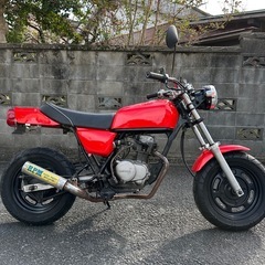 HONDA エイプ50 FX仕様　車体の画像