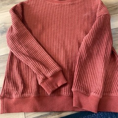 <交渉中>レディース
服　秋〜冬L 6点の画像