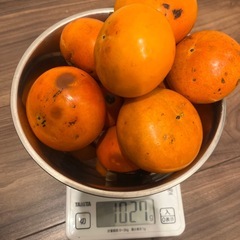 訳あり　柿　約1kgの画像