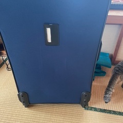 トラベルバックの画像