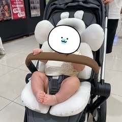 ジュールズ ハブ プラス ベビーカーの画像