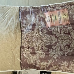 電気カーペット、電気毛布、羽毛布団　3点セットの画像