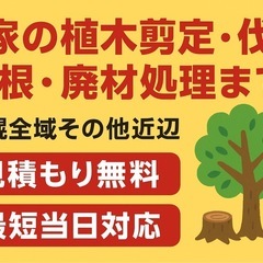 お家の木切りませんか🌲最短当日対応🪵"無料"見積もり伺いま…