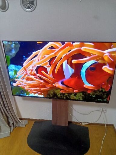 有機EL Panasonic 55インチ 2024年製