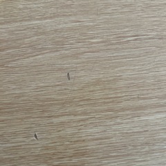 こたつ机の画像