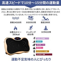 NADLE 振動マシン ブルブルマシンの画像