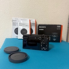 Sony A660
の画像