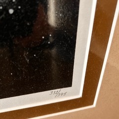 シム　シメールの『いたわり』　の画像