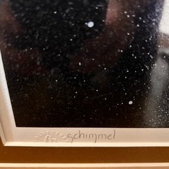 シム　シメールの『いたわり』　の画像