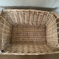 大きめのバスケットの画像