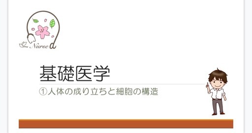 【看護師国家試験対策】解剖生理学に強くなる動画講座