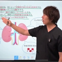 【看護師国家試験対策】解剖生理学に強くなる動画講座の画像