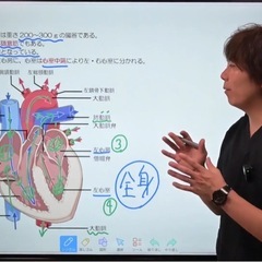 【看護師国家試験対策】解剖生理学に強くなる動画講座の画像