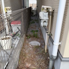 庭の草むしりの画像