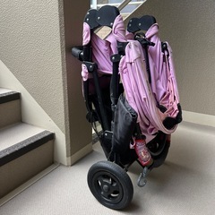 エアバギー　
の画像