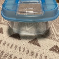 虫かご 3店セットの画像