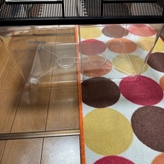 虫かご 3店セットの画像