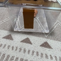 虫かご 3店セットの画像