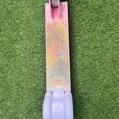 プリンセス・キックボードの画像