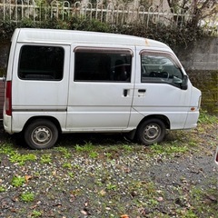 サンバーの画像