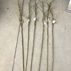 造花　クリスマス　ゴールド　2m ⭐︎102103の画像