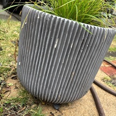 鉢付き　グラスの画像