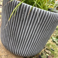 鉢付き　グラスの画像