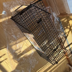 動物捕獲器の画像