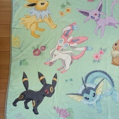 ★ポケモン プレミアム巾着付きブランケット ブイズ イーブイ★の画像