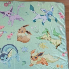 ★ポケモン プレミアム巾着付きブランケット ブイズ イーブイ★の画像