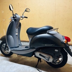 ★スクーピー★HONDA セルキック実働⭐︎即乗り　原付　全国発送可能の画像