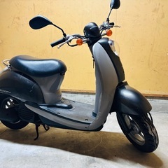 ★スクーピー★HONDA セルキック実働⭐︎即乗り　原付　全国発送可能の画像