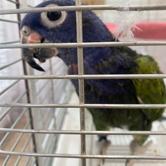 引き寄せ封じの研究