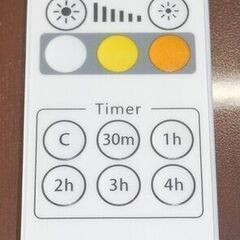 【直接引き取りのみ】 スタンドライト リモコン付 R7-0019の画像