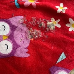 子ども服の画像