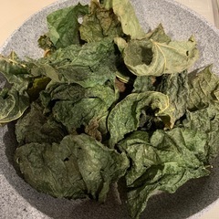 葛の葉茶　5パックの画像