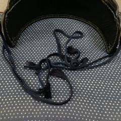 [価格交渉️⭕️] 剣道着 胴 鬼雲 成人女性使用の画像